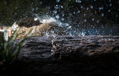 石头飞溅雨水滴落到石头上水坑棕色岩石白色飞溅下雨风暴季节雨滴鹅卵石背景