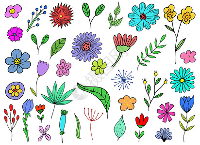 手绘花从背景上孤立的手绘花矢量设计插图植物学草本植物绘画风格花园繁荣植物优美艺术收藏背景