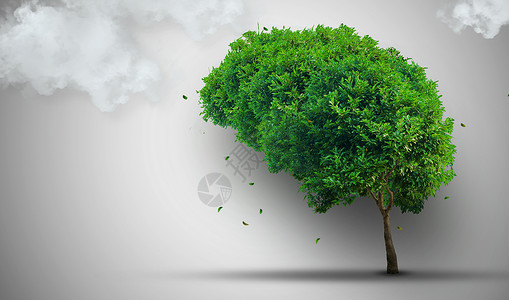 明智的绿树树叶发明绿色成功教育智慧生长生态工作思考想像力背景