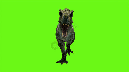 绿幕背景绿色屏幕上的恐龙  3D渲染怪物色度情感历史攻击两栖动物插图食肉爬虫背景