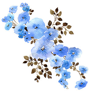 水彩装饰花束带叶子的水彩花花卡片问候语蓝色艺术卡通片植物手绘柳条植物群绘画背景
