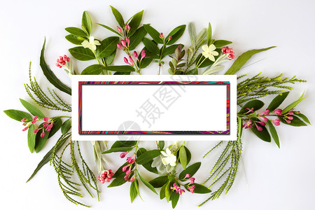 粉色植物边框美丽的花朵边框背景