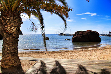 西班牙南部穆尔西亚市马扎龙的La Ermita海滩岩石海岸线海藻生活保护阳光明信片荒野假期天堂背景图片