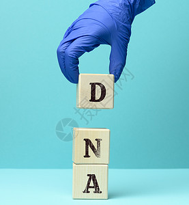 蓝底木制方块上的缩写式DNA结构高清图片素材