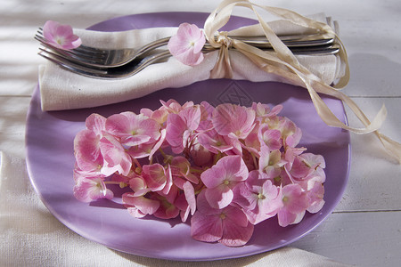 表格中的圆括号植物花瓣香味花园流动桌子植物群盘子粉色背景图片