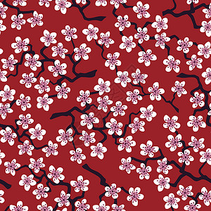 日本丝绸相思无缝模式 日本樱桃沙库拉花朵盛开 花朵以地科塔为背景背景
