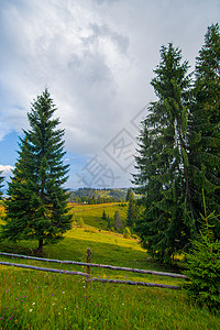 山丘纯净的自然山区 农村地貌 木木木林的栅栏公园假期日出天空森林顶峰国家风景阳光旅行乡村的高清图片素材