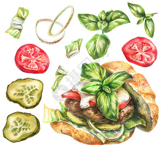 泡菜手绘彩色铅笔食品插图横幅草图包子洋葱手绘卡通片蔬菜枝条黄瓜绘画背景