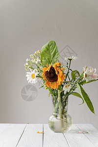花瓶中向日葵白色花瓶中的一束枯干鲜花植物向日葵死亡悲伤花束褪色植物群叶子花瓣生活背景