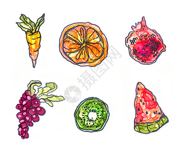 葡萄水果插画组的水果和蔬菜 手绘酒精墨水插画背景