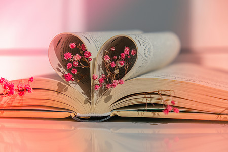 心形书素材书页折叠成心形和粉红色的花朵 柔焦 故意轻微模糊 精致的粉红色满天星花 慢生活理念 与自然合一 爱木头呼吸假期页数风格阅读庆典文背景