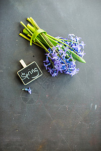 春季概念与hyacinth绳索森林荒野粉笔花朵乡村花束蓝色背景图片