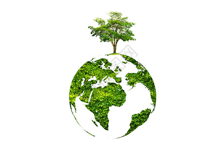 绿色地球海报背景白色隔离背景上绿色地球上的地球日树生长生物学庆典横幅活力森林植物环境插图回收背景