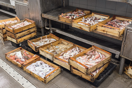 小型意大利小城镇当地鱼类市场食物美食渔夫盒子生活海洋店铺海鲜背景图片