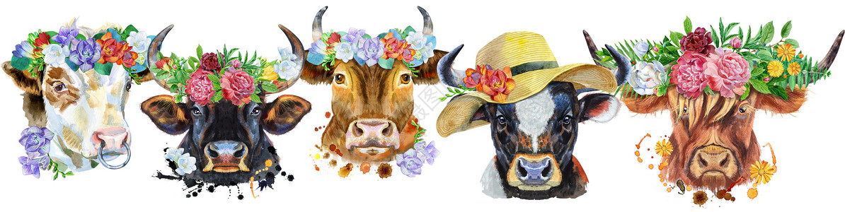 扁平风动物边框用于装饰的公牛水彩肖像的边框艺术眼镜插图奶制品绘画牡丹领结家畜牛肉女性背景