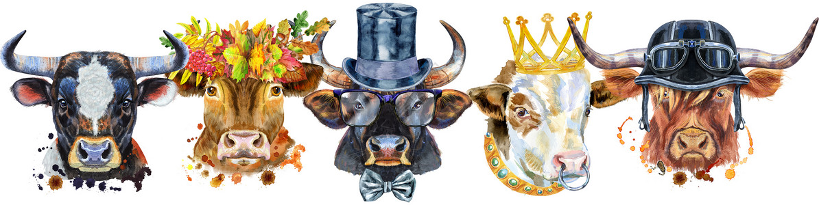 画牛用于装饰的公牛水彩肖像的边框眼镜头盔家畜奶牛哺乳动物牛肉绘画奶制品牛奶农场背景