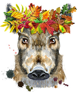 水彩叶子花环带假花环的野猪水彩肖像橡木绘画宠物艺术海报叶子问候语伴侣农场插图背景
