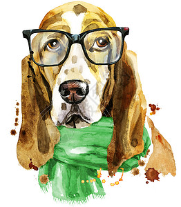 水彩绿色长边框带眼镜和绿色疤痕的巴塞特猎犬水彩肖像背景