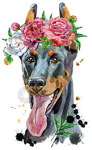 水彩牡丹花牡丹花环中的水彩肖像杜宾犬背景