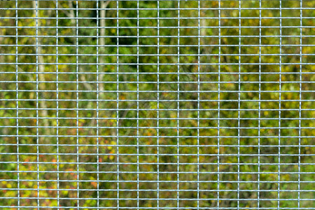 绿色树叶背景的金属网格纹理背景图片