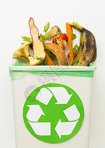 照片素材蛋壳食物废弃废物回收垃圾箱 高品质的美容照片概念背景