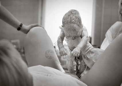 医院的一名医生抱着一个新生儿 黑白照片 医生向母亲展示新生儿脐带的高清图片素材