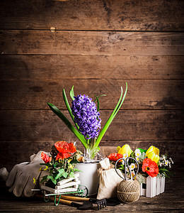 花园工具手套叶子花朵花盆独轮车耙子绳索紫色工作灌封春天高清图片素材