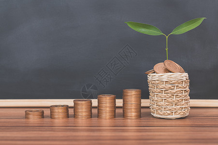 堆叠硬硬币投资理念 商业增长树增加高清图片素材