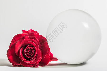 爱的情人节背景红玫瑰 与水晶球花店玻璃绿色红色植物玫瑰金子蜡烛风格花瓣背景图片