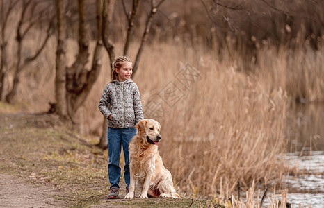 查理王小猎犬带金皮狗的少女乐趣友谊女性女孩宠物动物猎犬青春期公园朋友背景