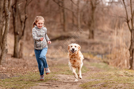 查理王小猎犬带金皮狗的少女女性乐趣跑步生活猎犬友谊女孩朋友动物公园背景