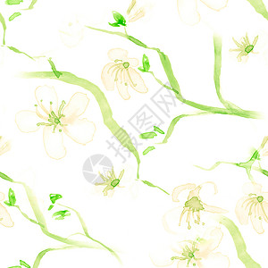 水彩花卉元素花卉设计 无缝苹果图背景