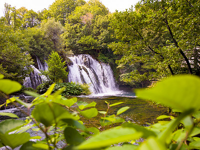 美丽的瀑布叶子岩石森林植物公园国家水景假期旅行荒野图片