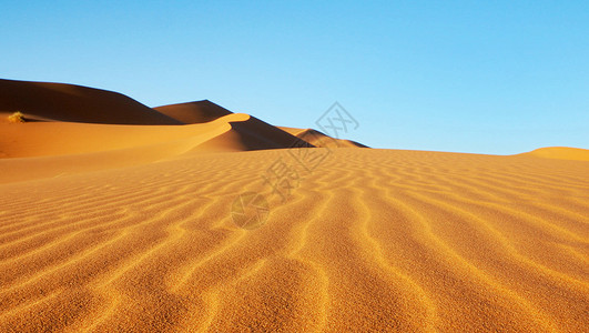 撒哈拉沙漠中风沙沙丘旅行者公羊世界旅游生活旅行游记博客博主照片旅游世界背景图片