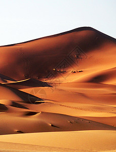 撒哈拉沙漠中风沙沙丘笔记本博主旅行旅游迷旅游假期照片旅行者公羊旅游生活背景图片