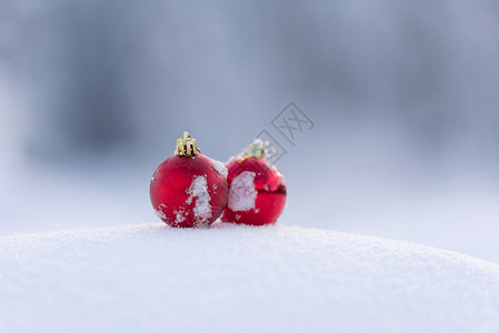 清雪中的红圣诞节球装饰装饰品风格阴影玻璃乐趣季节假期小玩意儿玩具背景图片