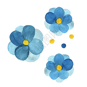 手绘蓝色花瓣白色背景所孤立的蓝色花朵构成的水色植物学物品圆形草图手绘绘画花头作品插图水彩背景