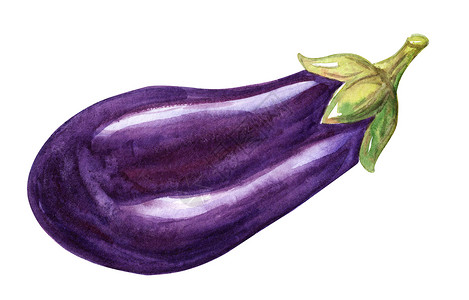 手绘食谱白色背景上隔绝的水色紫色茄子 手画黄油背景