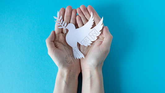 手拿着蓝色背景上的纸白鸽 世界和平日 世界和平与发展科学日宗教邮件自由飞机生活翅膀鸽子信仰邮政阴影背景
