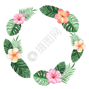 水彩鲜花棕榈叶和鲜花边框 用于装饰卡片和徽标设计; 在白色背景上隔绝的热带框架背景
