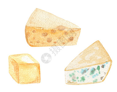 贺卡片白色背景上孤立的海水颜色奶酪切片 标签 菜单 贺卡等食品插图背景
