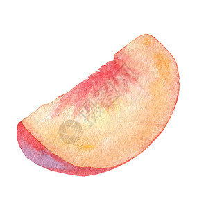桃子手绘用于品牌设计 厨房装饰的白色背景上的桃子水果分离片 以作品牌设计背景