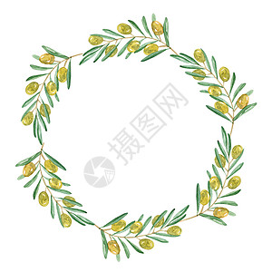 手绘叶子花环白色上隔离的绿橄榄花圈背景