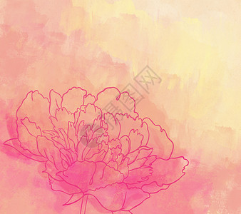 美丽的花朵花艺术手绘邀请函问候语草图插图牡丹植物花朵墨水背景图片