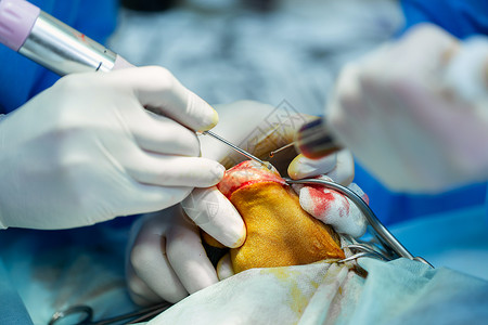 兽医诊所的狗爪上的外科手术治疗团队面具药品动物桌子医生男人剪刀女性关心高清图片素材