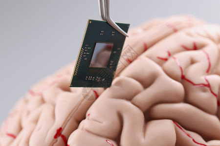 人大脑人使用tweezer工具将微小的计算机芯片细节输入到人的大脑模型中背景