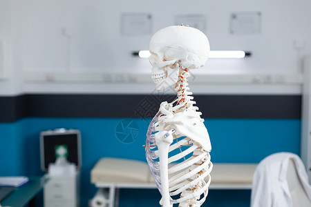 骨骼人体人体骨骼的幻灯片视图 站在空的临床办公室里背景