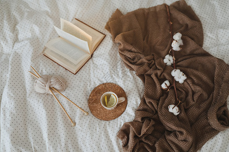 探热针寒冬背景舒适 有一本书 茶杯和针织针 在温暖温柔的床顶上风景装饰生活假期早餐卧室阳光阅读情绪风格棉布背景