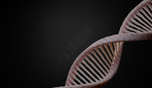 3d 渲染 RNA 的 DNA 螺旋互补链 序列遗传密码或基因组 基因表达 核苷酸数据库 转录和翻译的中心法则过程 人类基因遗传背景图片