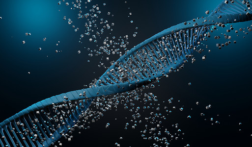 基因密码3d 渲染 RNA 的 DNA 螺旋互补链 序列遗传密码或基因组 基因表达 核苷酸数据库 转录和翻译的中心法则过程 人类基因生物背景